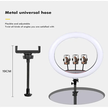 Drite Ring Light- LJJ-22