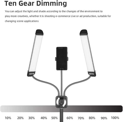 Esthetician Light AMBITFUL AL-20