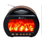 Altoparlant Bluetooth FP-535